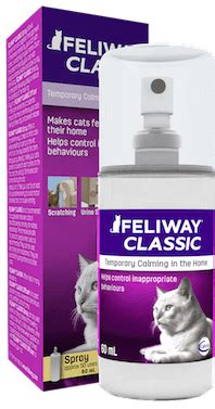 How Long Does Feliway Spray Last: A Journey Through Time and Space