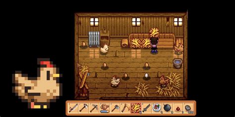 How to Feed Chicken in Stardew Valley: A Comprehensive Guide to Poultry Care and Beyond