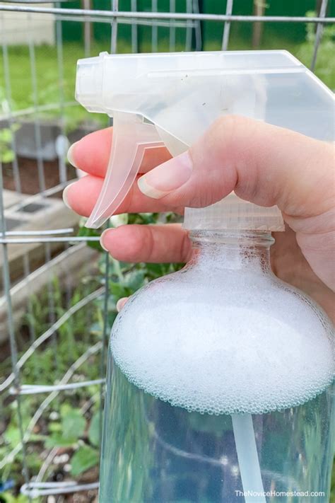 How to Make Peppermint Oil Spray for Bugs: A Whiff of Nature's Own Repellent