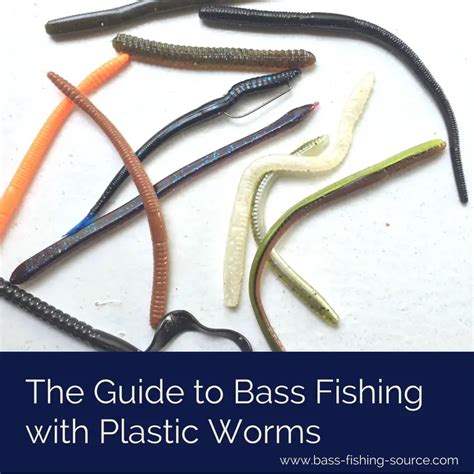 How to Rig a Plastic Worm for Bass: A Comprehensive Guide