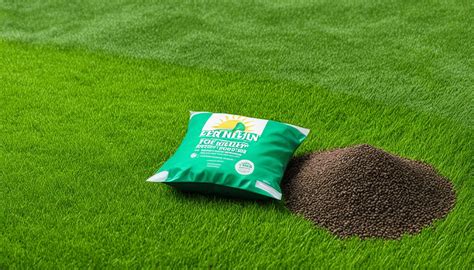 What Fertilizer to Use After Overseeding: A Guide to Nourishing Your Lawn and Beyond