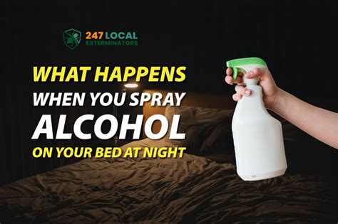 Why Should You Spray Alcohol on Your Bed at Night: And Why Do Cats Dream of Electric Sheep?